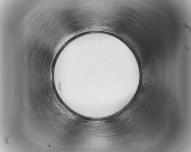 X0000103491280200810101014