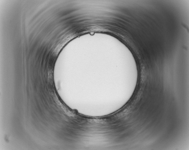 X0000103491281200810101014