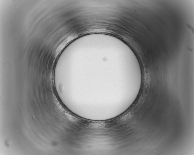 X0000103491282200810101014