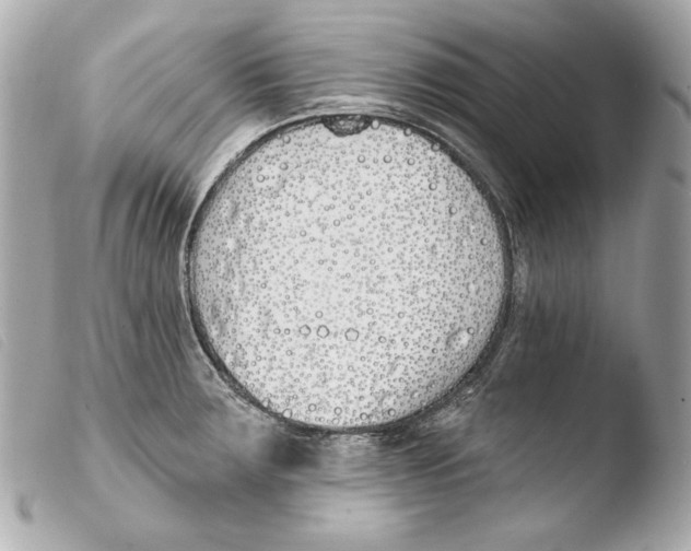 X0000103491283200810101014