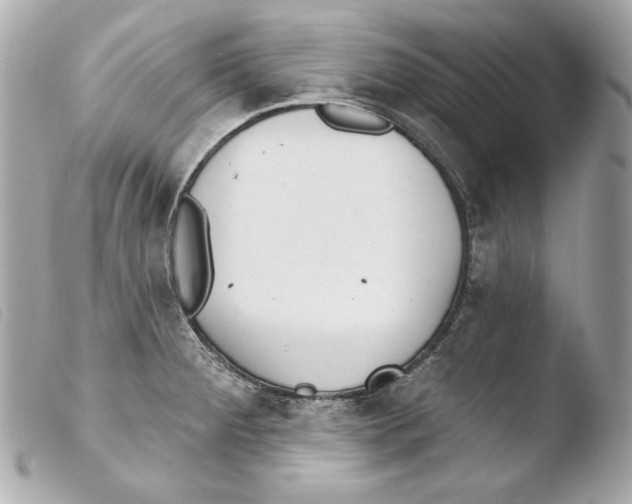 X0000103491284200810101014