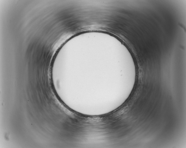 X0000103491285200810101014