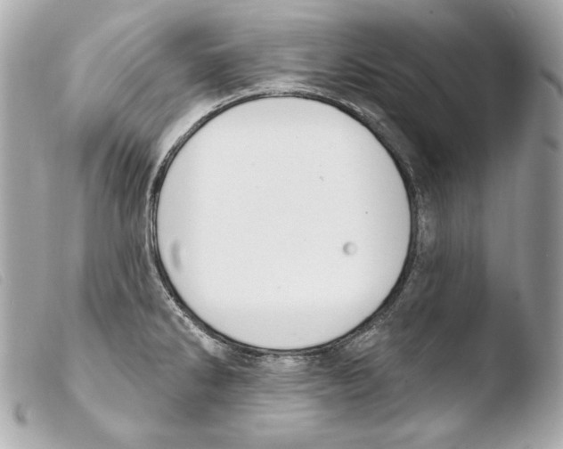 X0000103491286200810101014