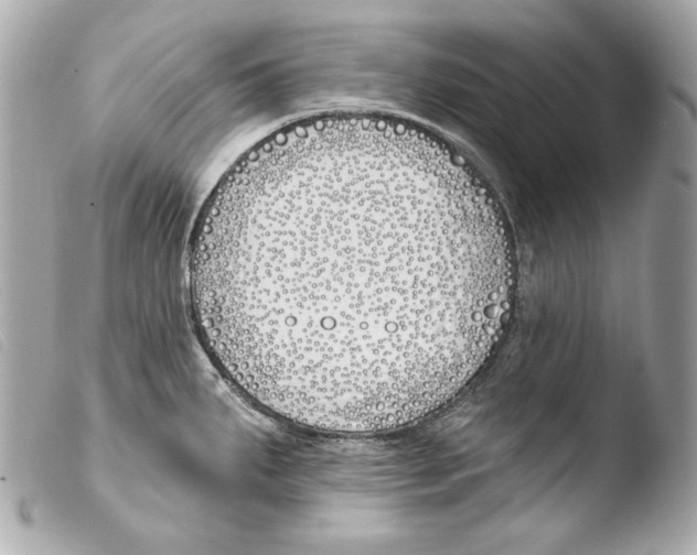 X0000103491287200810101014