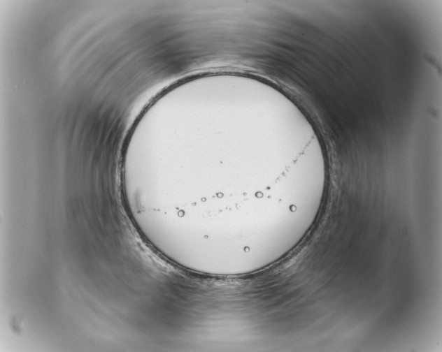 X0000103491288200810101014