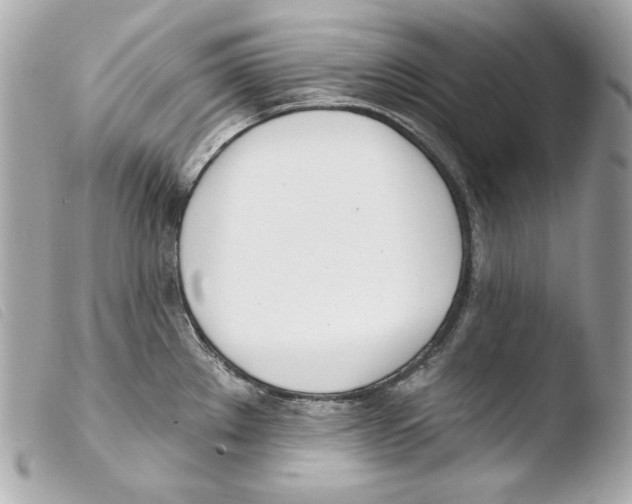 X0000103491289200810101014