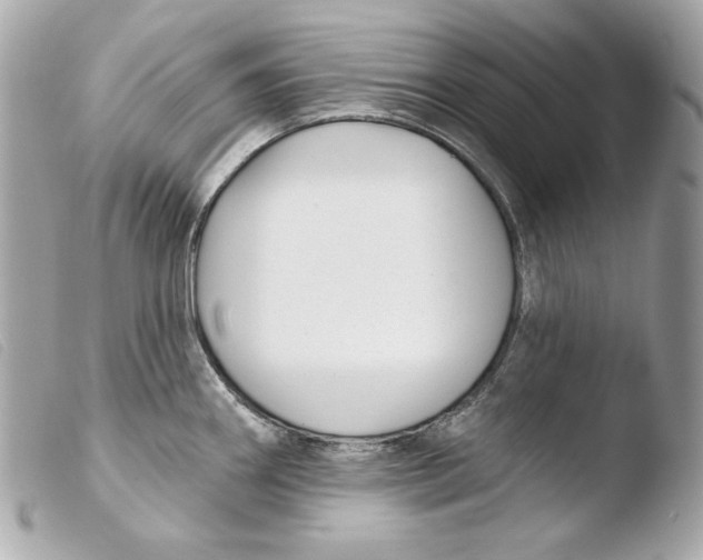 X0000103491290200810101014