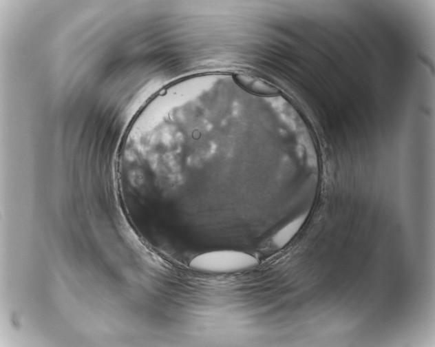 X0000103491291200810101014