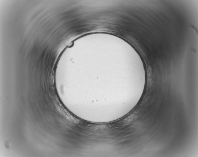 X0000103491292200810101014