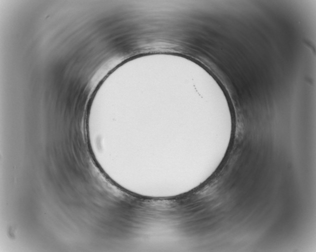 X0000103491293200810101014