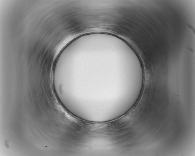 X0000103491294200810101014