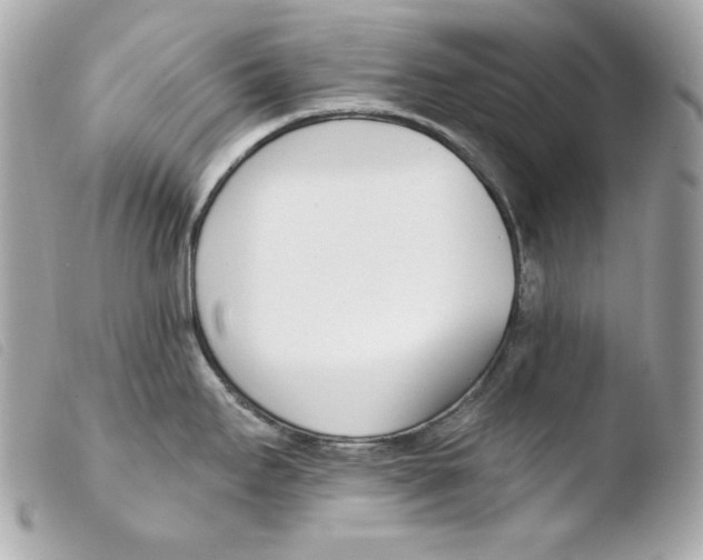 X0000103491295200810101014