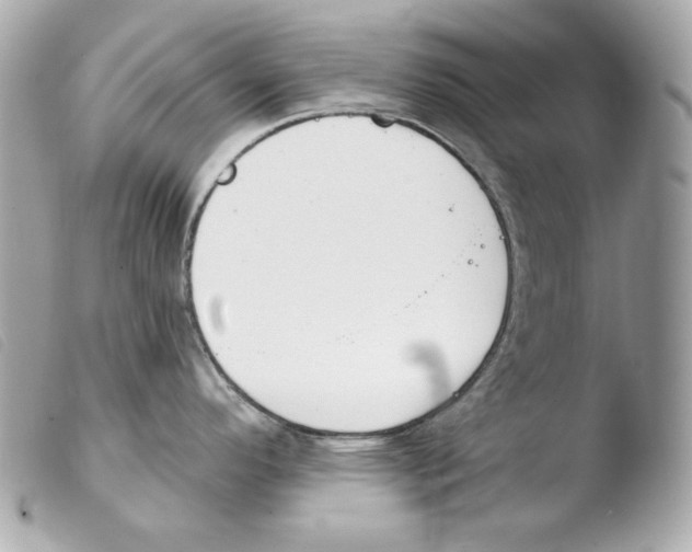 X0000103491296200810101013