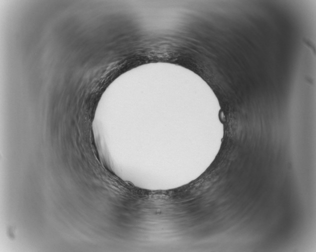 X0000103491297200810101013