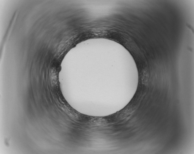 X0000103491298200810101013