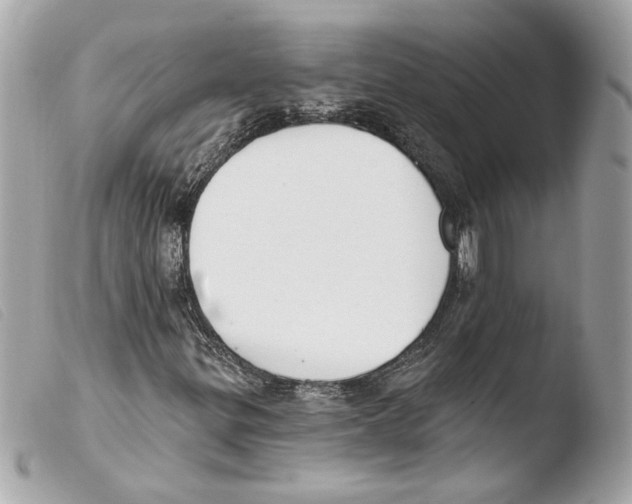 X0000103491299200810101013