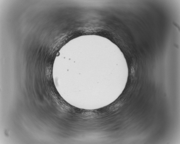 X0000103491300200810101013