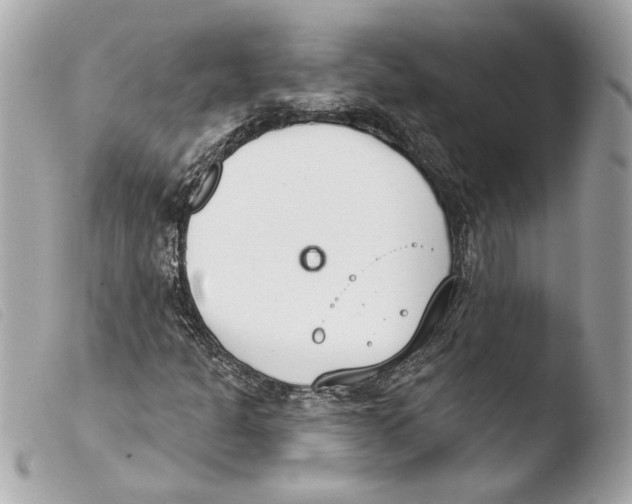 X0000103491301200810101013