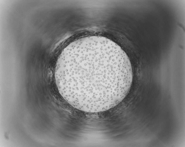 X0000103491302200810101013