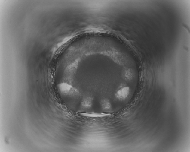 X0000103491303200810101013