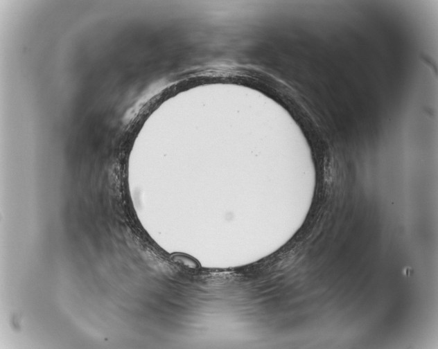 X0000103491304200810101013