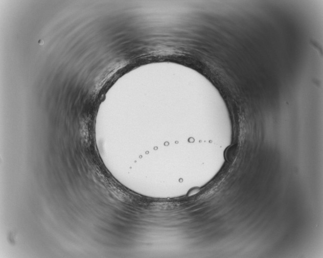 X0000103491305200810101013