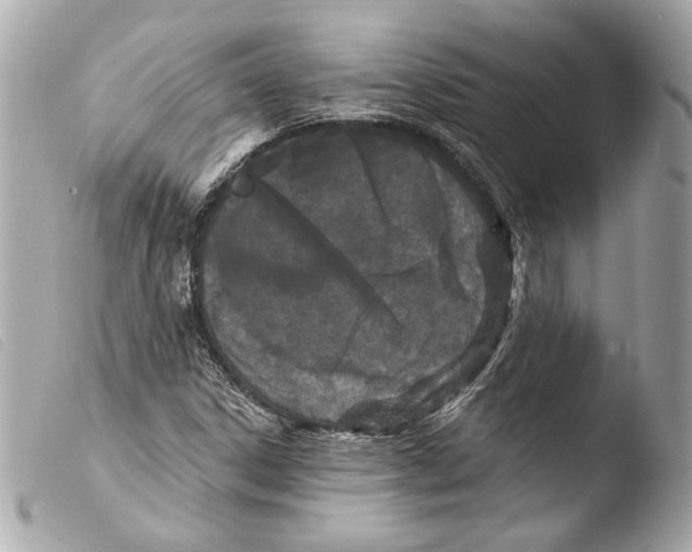 X0000103491306200810101013