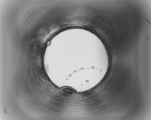 X0000103491307200810101013