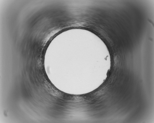 X0000103491308200810101013