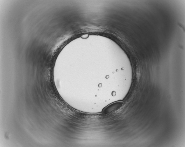 X0000103491309200810101013