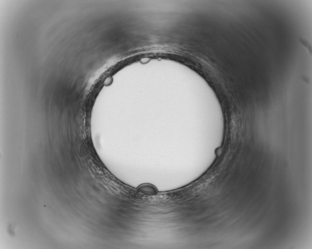 X0000103491310200810101013