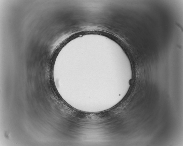 X0000103491311200810101013