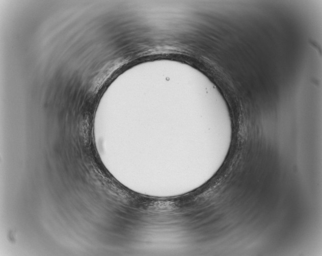 X0000103491313200810101013