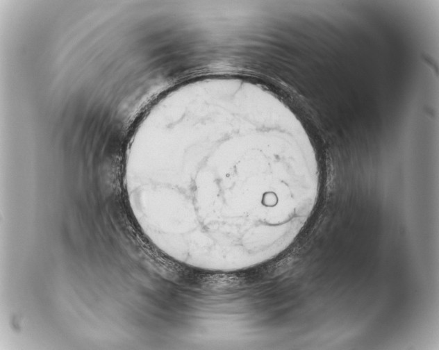 X0000103491314200810101013