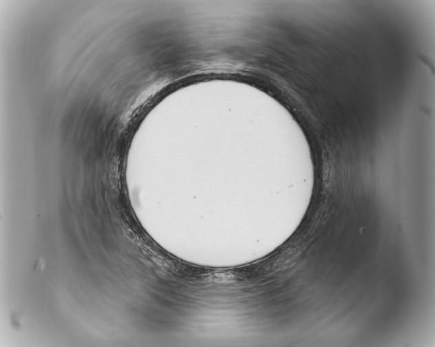 X0000103491315200810101013