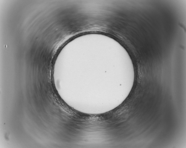 X0000103491316200810101013