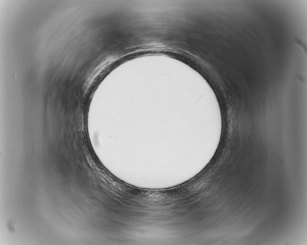 X0000103491318200810101013