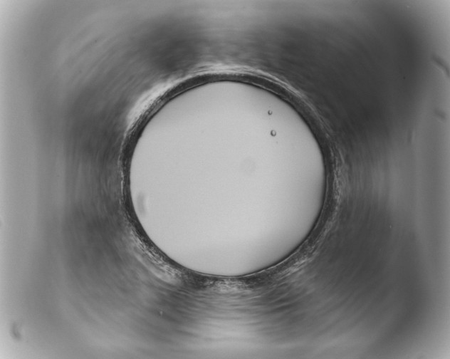 X0000103491319200810101013