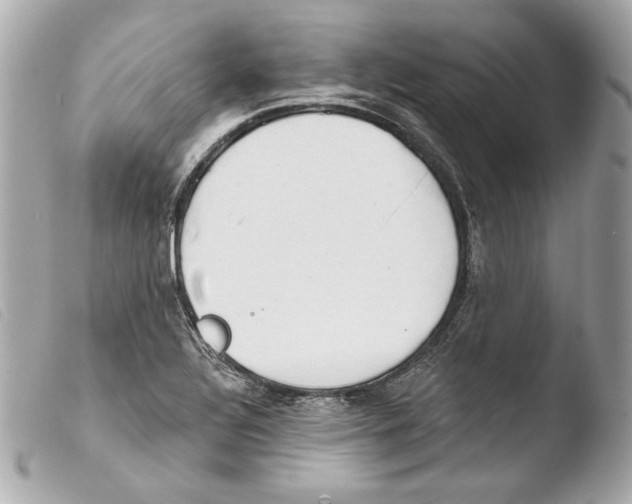 X0000103491320200810101013