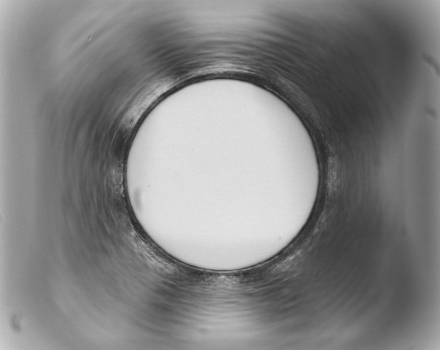 X0000103491321200810101013