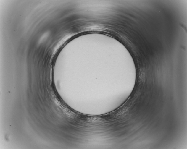 X0000103491323200810101013