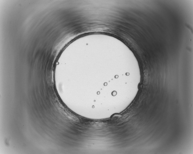 X0000103491324200810101013