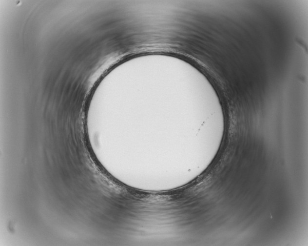 X0000103491325200810101013