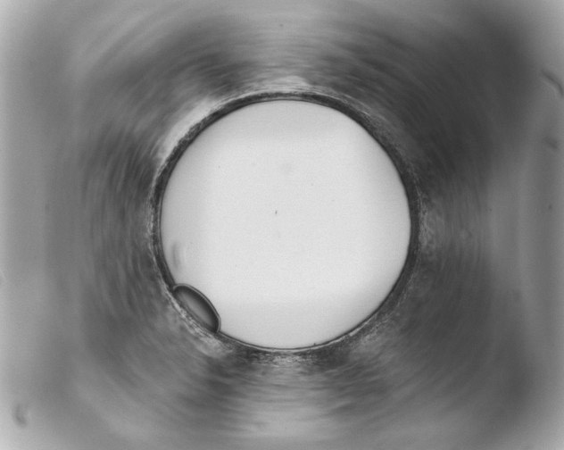 X0000103491326200810101013