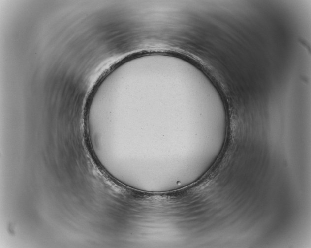 X0000103491327200810101013