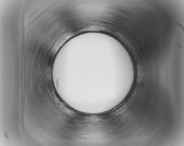 X0000103491329200810101013