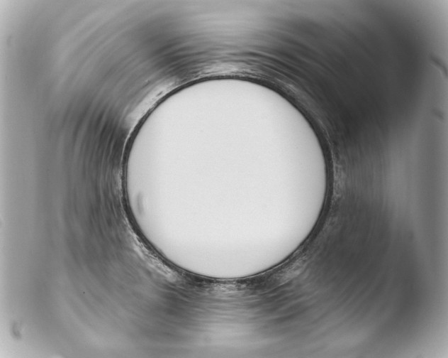 X0000103491330200810101013