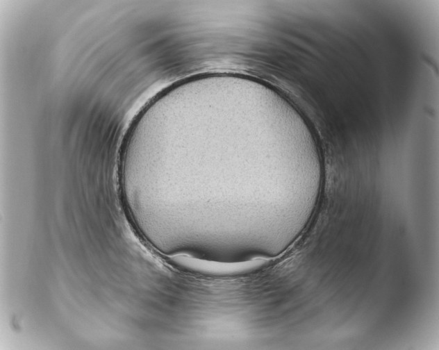 X0000103491331200810101013