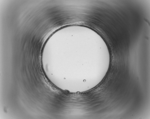 X0000103491332200810101013