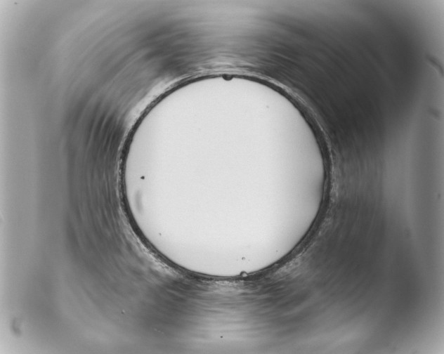 X0000103491333200810101013